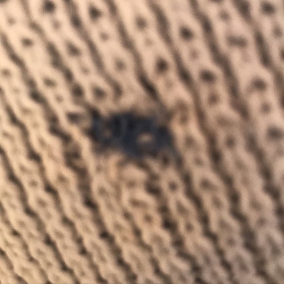 4/$20 True to color 𝅺Knit blue and white asymetricalsweater - Picture 6 of 7